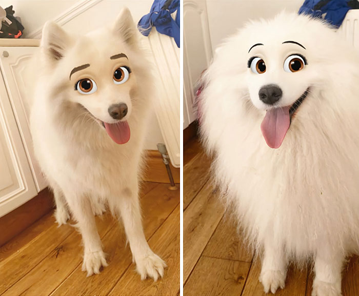 Dog-Disney-Snapchat-Filter