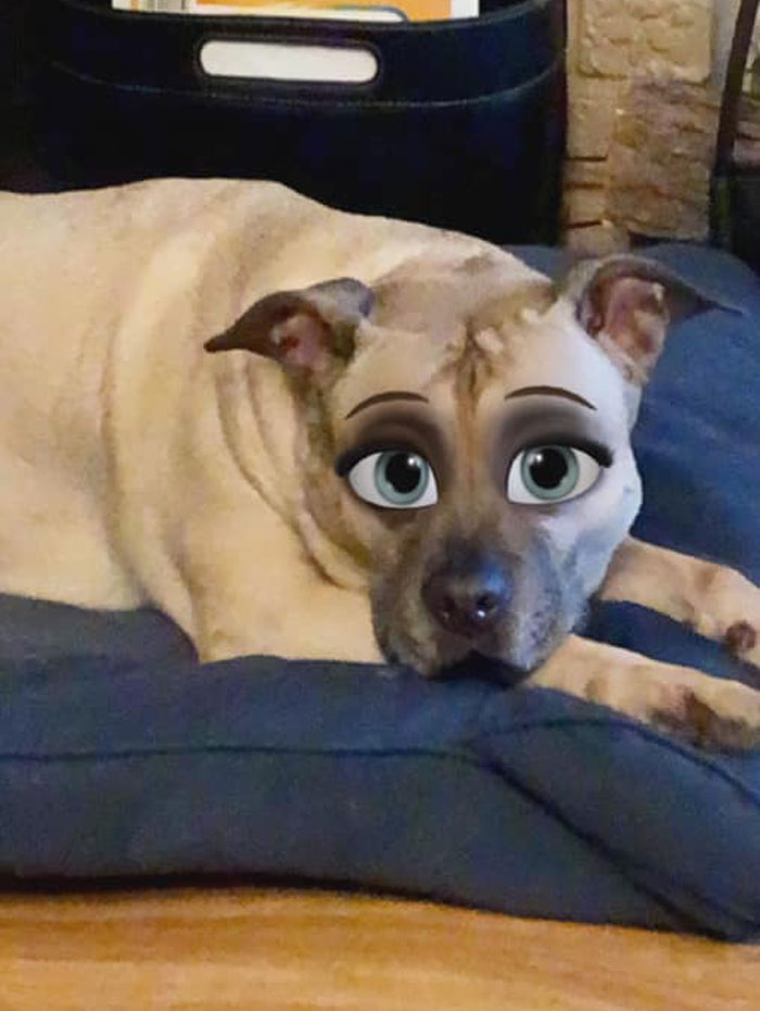 Dog-Disney-Snapchat-Filter