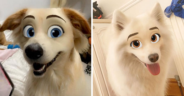 Este nuevo filtro de Snapchat hace que tu perro parezca un personaje Disney, y aquí tienes 30 de los mejores resultados