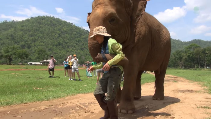 Elephant Pushes Visitors Away So Her Caretaker Can Sing A Lullaby To Her Baby