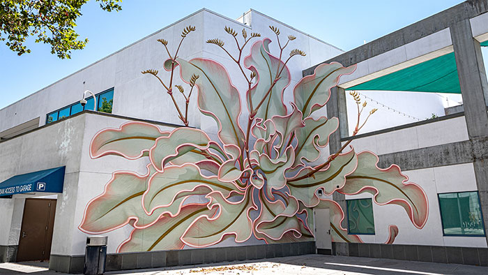 Artist Paints A Mesmerizing Flower Mural That Spreads Over 6 Surfaces