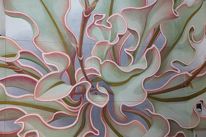 Artist Paints A Mesmerizing Flower Mural That Spreads Over 6 Surfaces