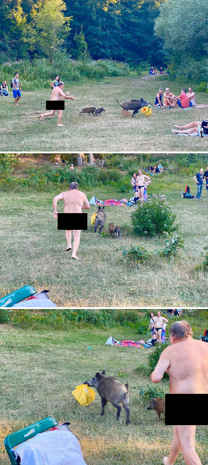 A Nudist Bather Chased A Wild Boar Near A Berlin Lake After It Stole His Laptop