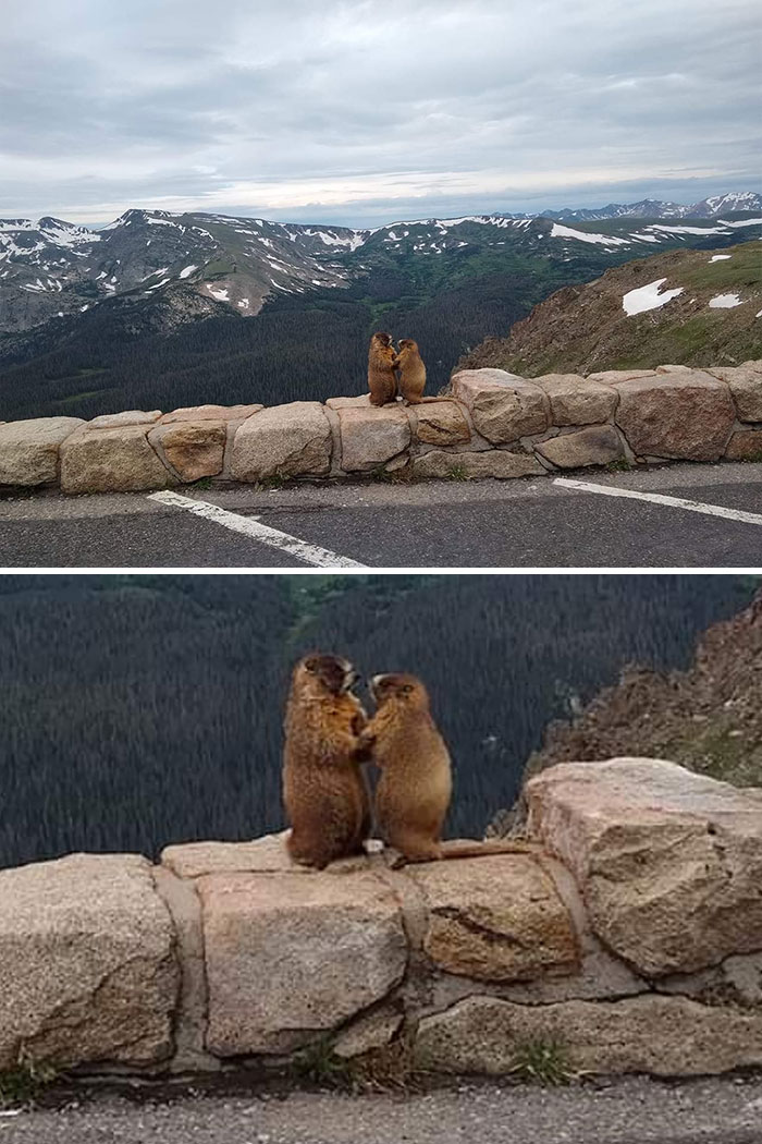 My Sister Accidentally Caught This Pikes Peak Proposal On Camera