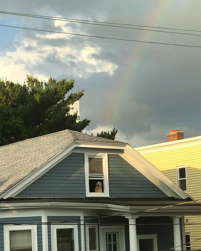 Proof That There Is Gold At The End Of A Rainbow!