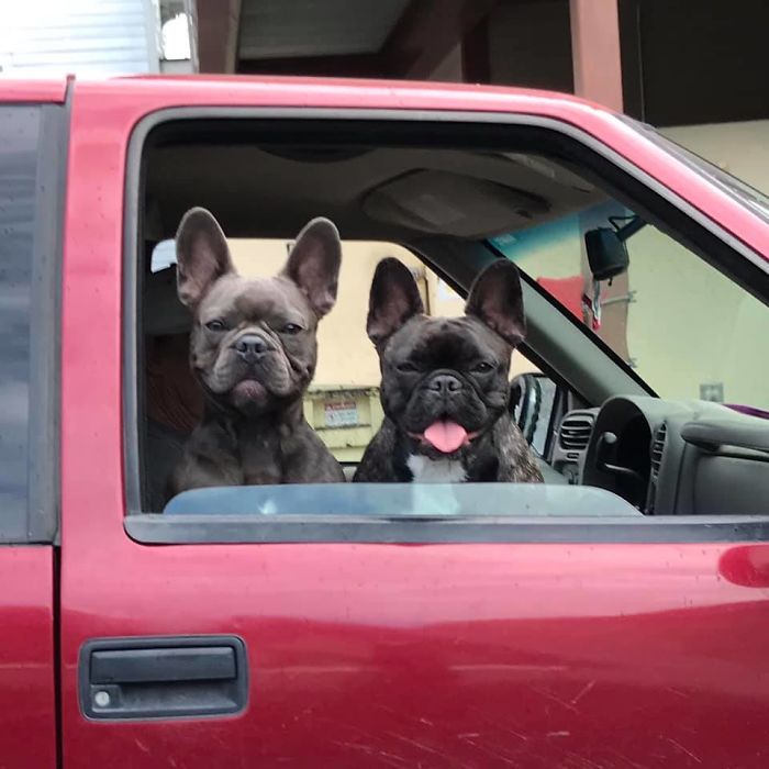 Pulled Up Next To These Two Today