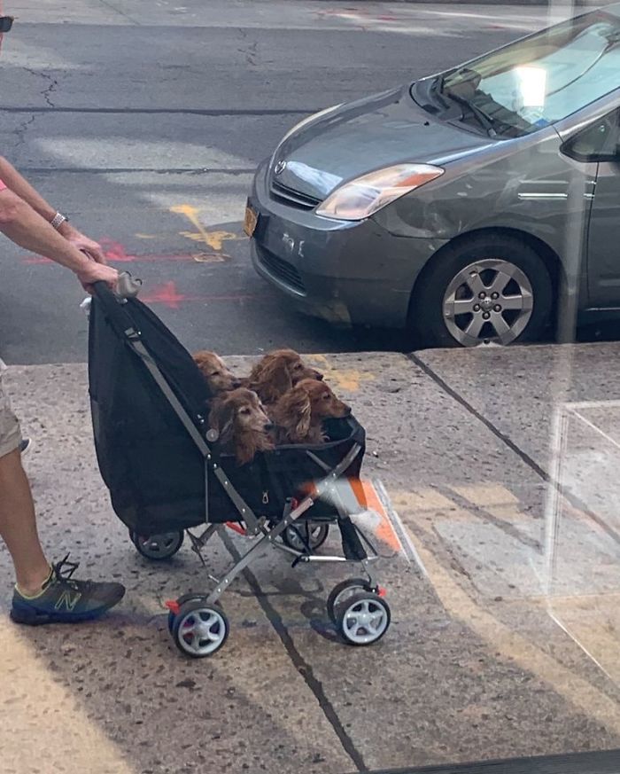 Spotted These City Babes Living Their Best Life In NYC.