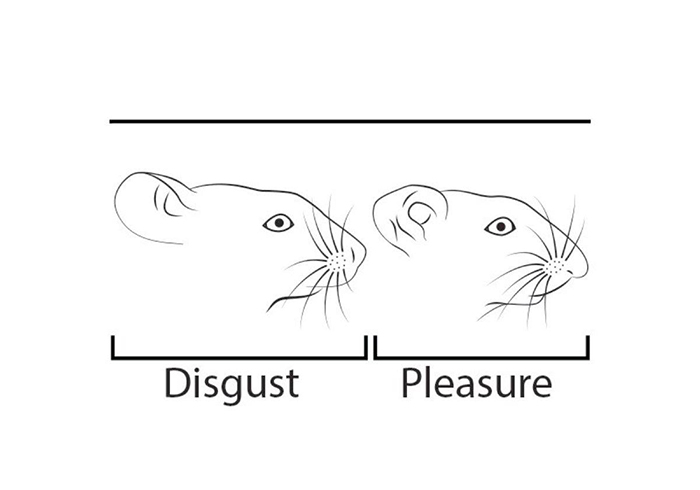 Funny-Odd-Science-Diagrams