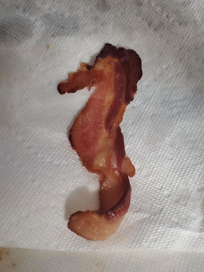 My Bacon Looks Like A Seahorse