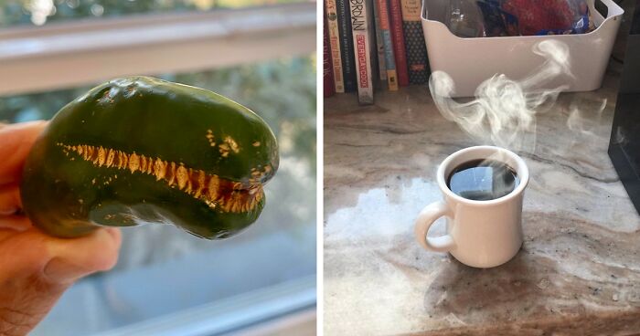 50 Times People Experienced A Serious Case Of Pareidolia And Documented It Online