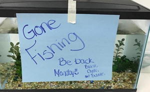 30 Times Teachers Messed Up Big Time And Shared Their Fails Online