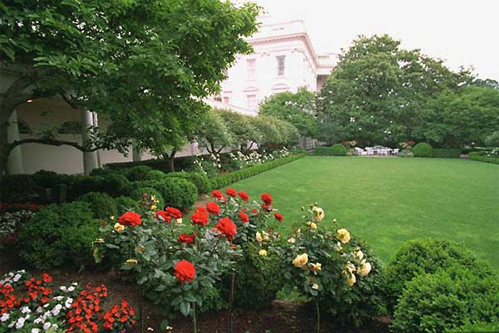 Master Gardener Defends Melania’s White House Garden Restoration, And They Might Change Your Opinion