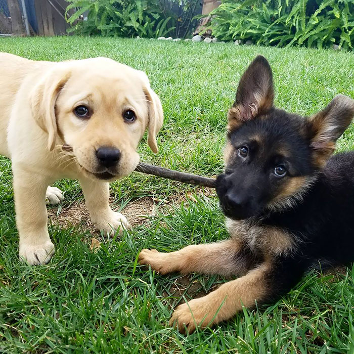 Branch Manager & Assistant Branch Manager