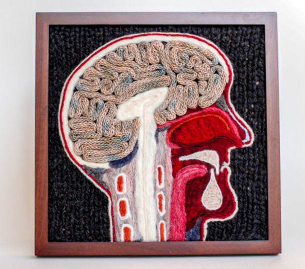 Knitted Bisected Human Head By aknitomy