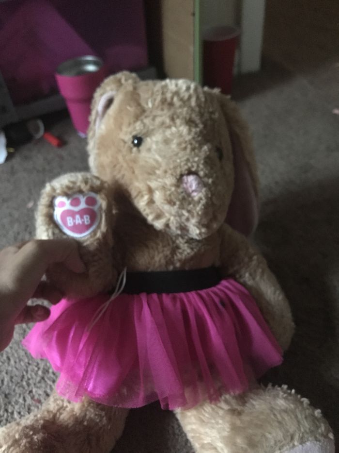 Meet Bella The Bunny. My Mother Gave Her To Me When I Was In The Hospital Getting Ready For An Appendectomy