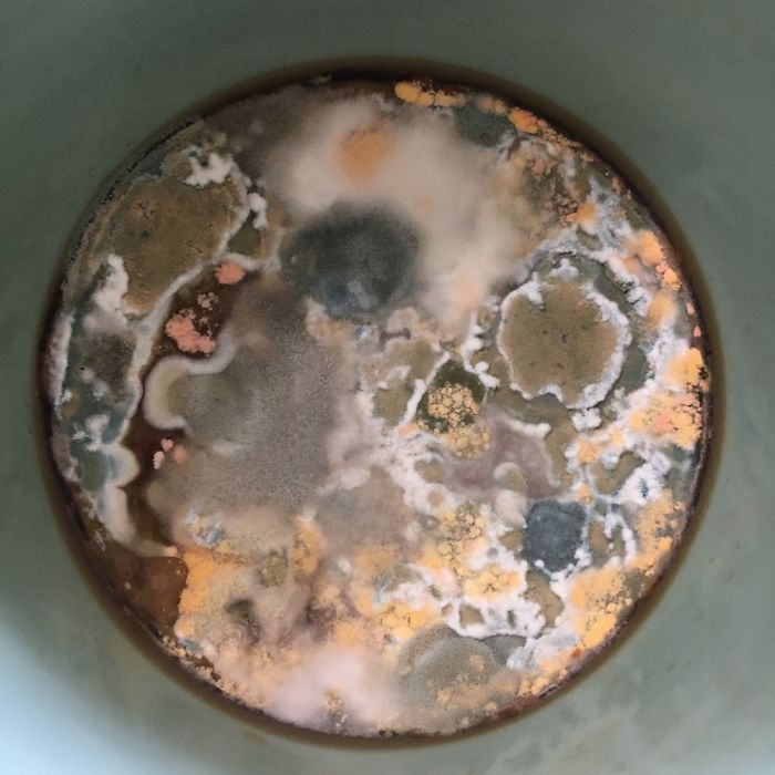 This Old Coffee That Looks Like A Planet.