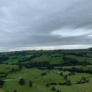 tanya_bailey5146 avatar