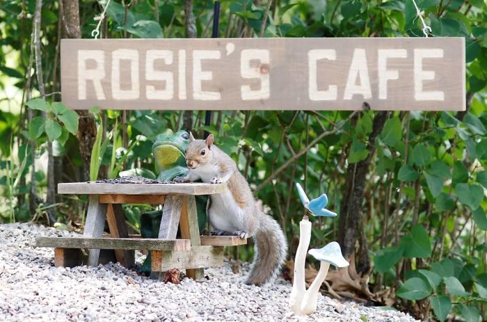 Rosie's Cafe'