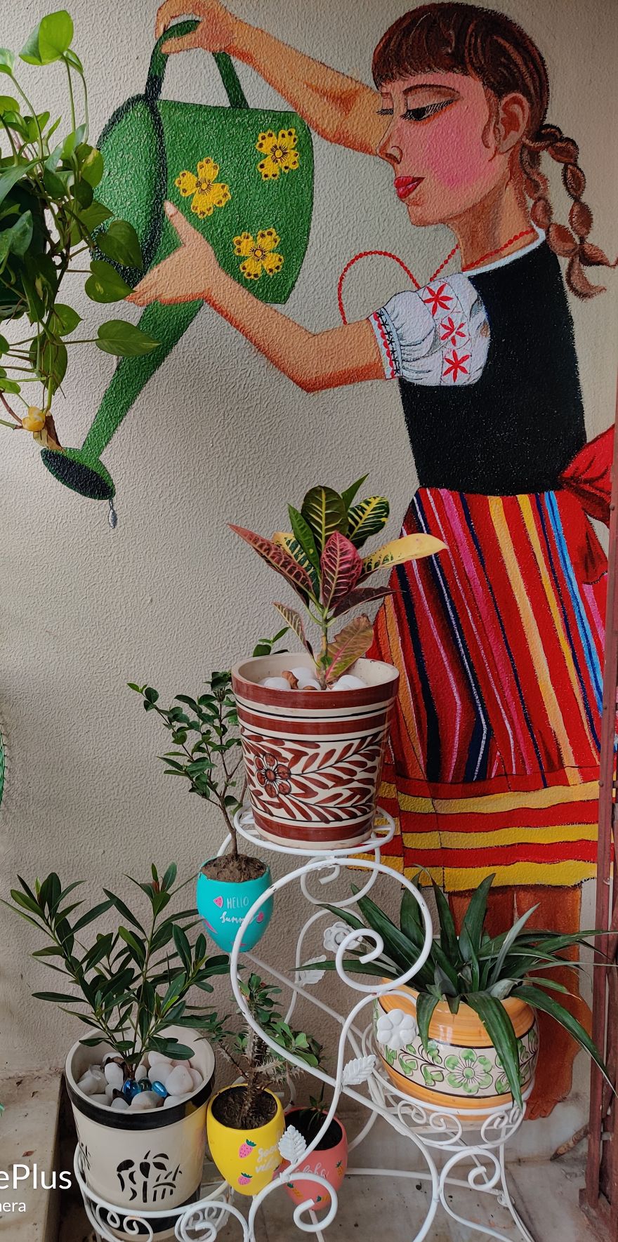 Save Plant