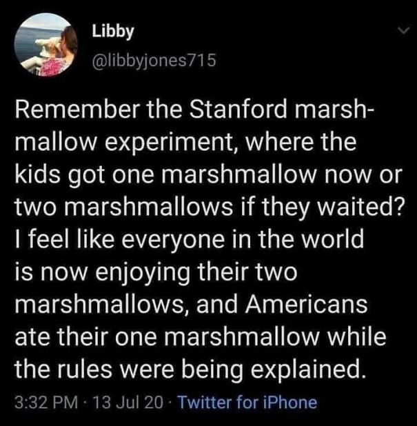 marshmallow-5f2b4570eddfd.jpg
