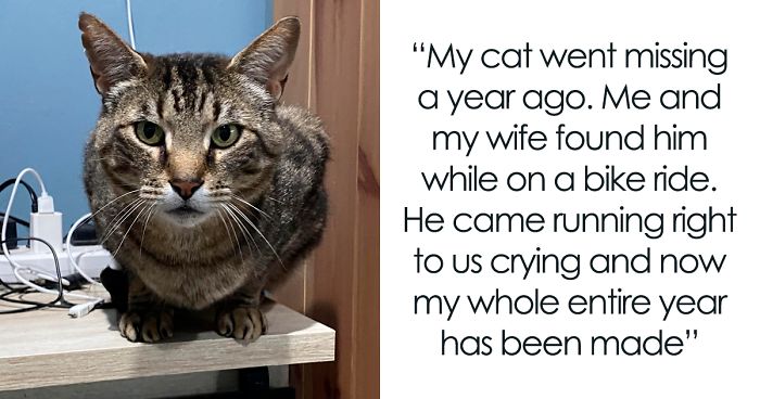 26 Stories Of Owners Finding Missing Cats Years After They Disappeared |  Bored Panda