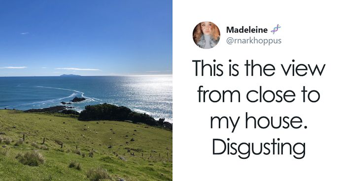 New Zealanders Share Pics Of What A ‘Hellhole’ Their Country Is As A Response To Trump And His Supporters