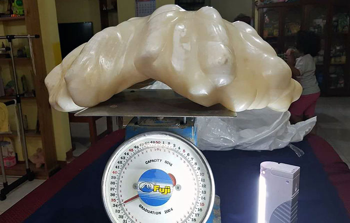 A giant pearl—worth $100M