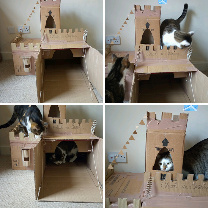 Cat Castle! A Day We'll Spent