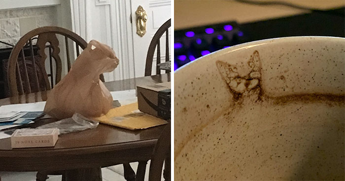 30 Times People Saw Cats In Unexpected Places And Decided To Snap Some Pics