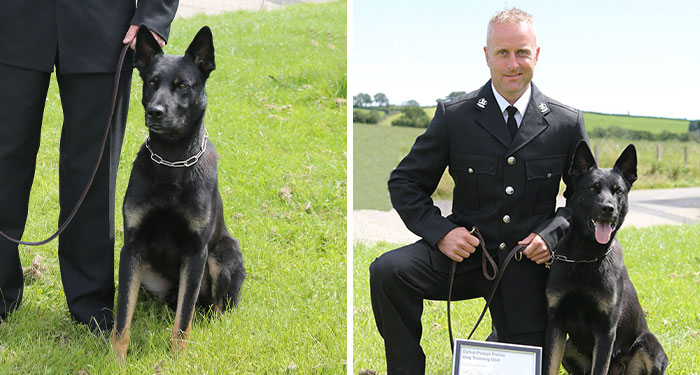 Police Dog Finds Missing Mother And Baby On His First Day At Work