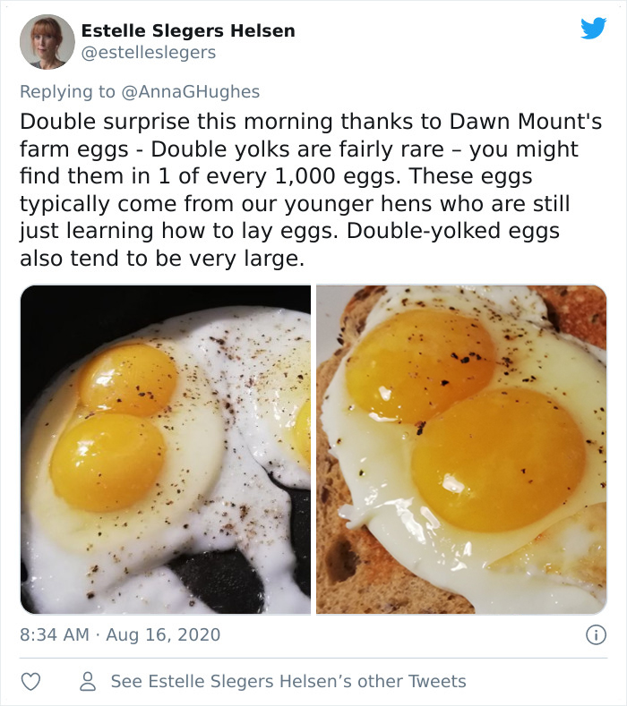 Quarantine-Eggs-Increasingly-Unsettling-Twitter