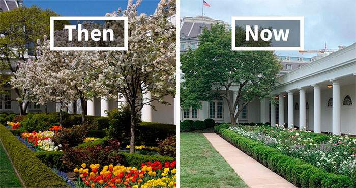People Are Ridiculing Melania Trump’s White House Rose Garden Renovation With Savage Tweets