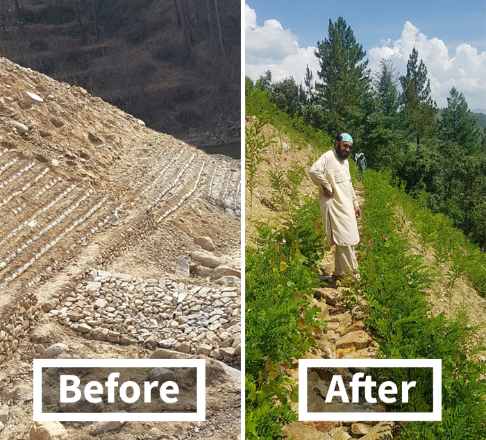 See How The “10 Billion Tree Tsunami” Tree Planting Campaign Transformed This Area Between 2019 And 2020