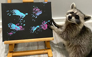 Proud Raccoon Artists Are Posing Next To Their Paintings And They Look So Happy