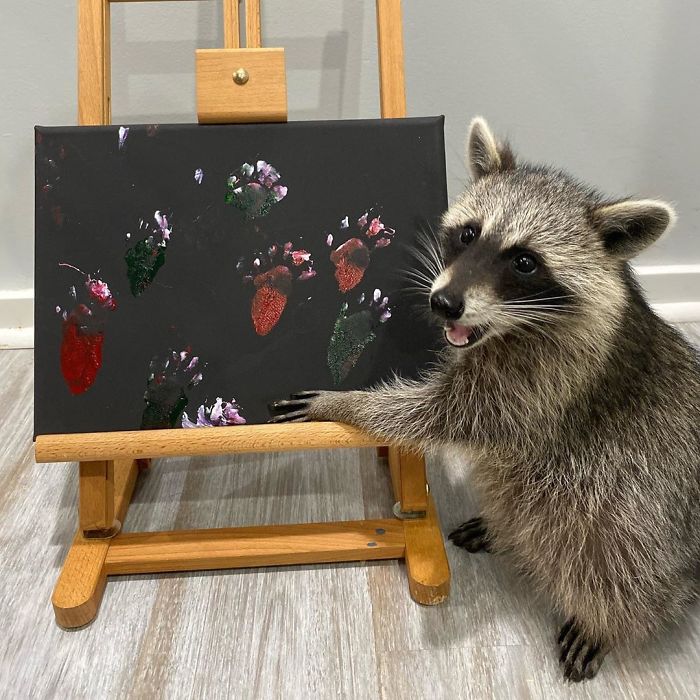 Proud Raccoon Artists Are Posing Next To Their Paintings And They Look So Happy