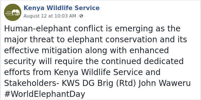 Apparently, Kenya's Elephant Population Has More Than Doubled Over Last Three Decades