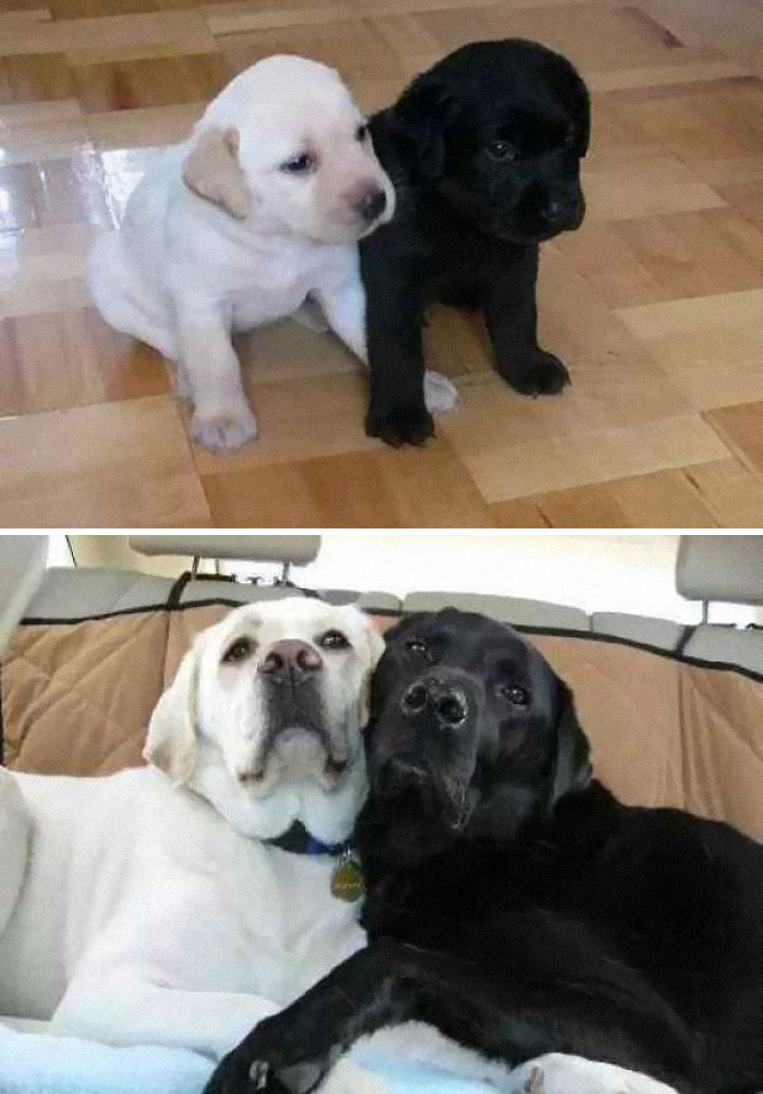 Growing Old Together!
