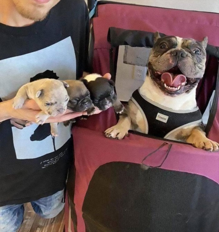 When Ravioli Saw His Pups For The First Time!