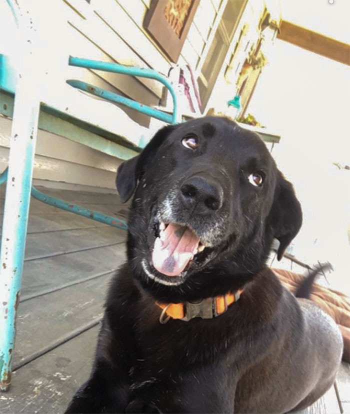 Old Boy Does A Smile For The First Nice Day Outside