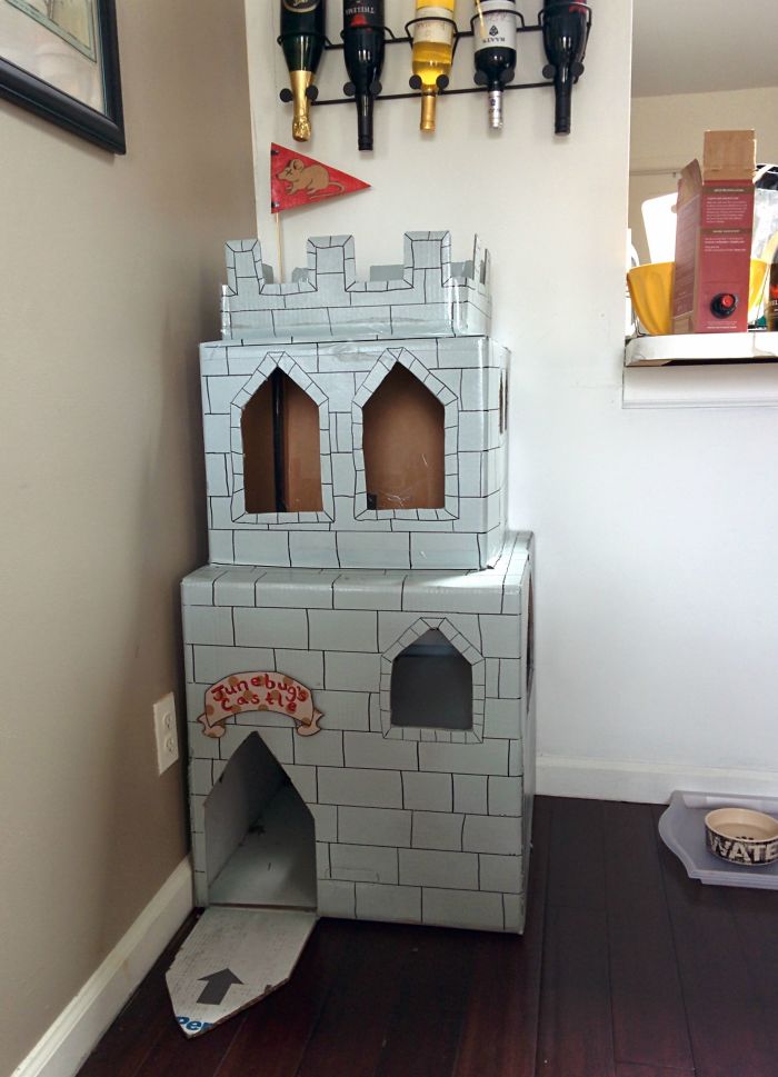 A Cardboard Cat Castle