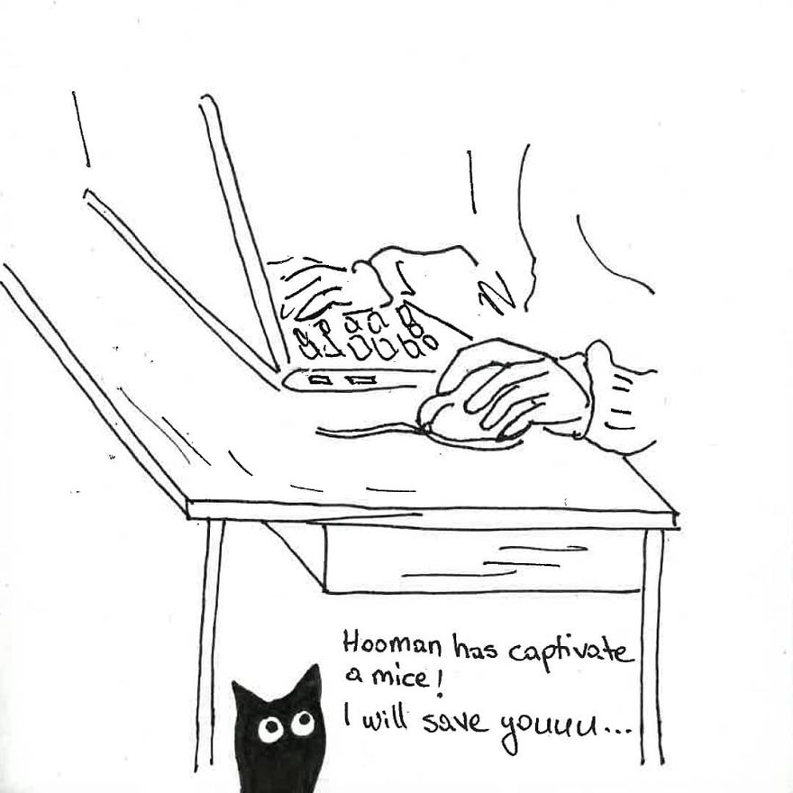 Owner Illustrates The Boring Days His Cat Lived In Quarantine In Fun Comics