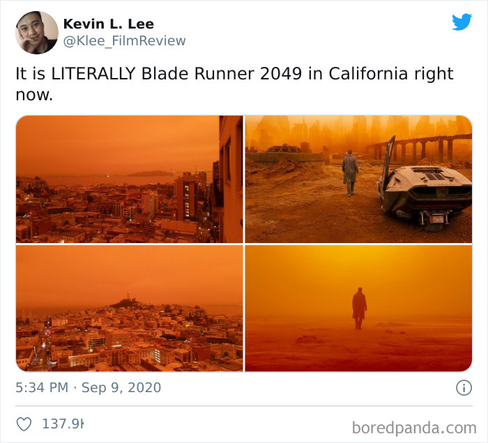 60 Apocalyptic Photos Of The Wildfires That Are Ravaging The Us West Coast