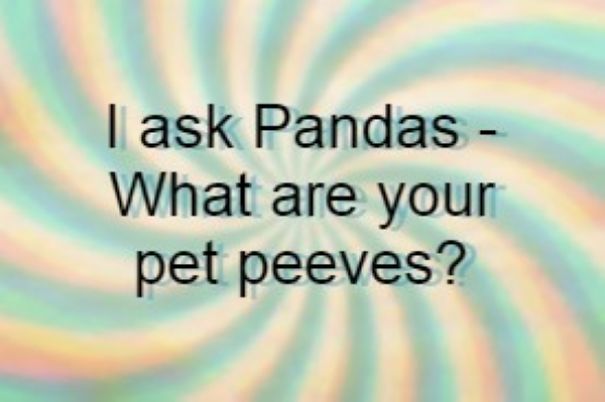 I Ask Pandas - What Are Your Pet Peeves?