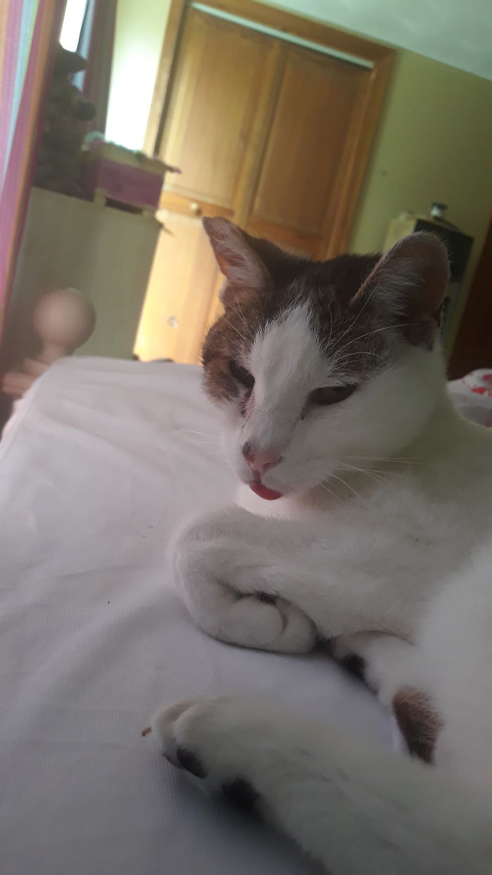 Rory In Blep Mode