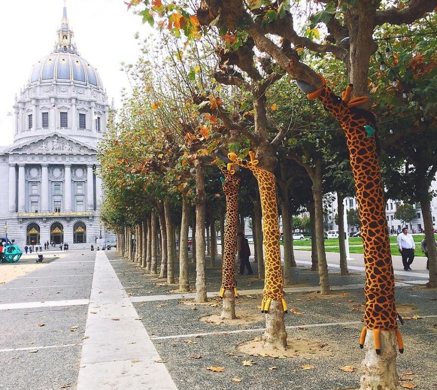 The Time Giraffe Yarn Bombs Took Over The Civic Center Commons In San Francisco, California