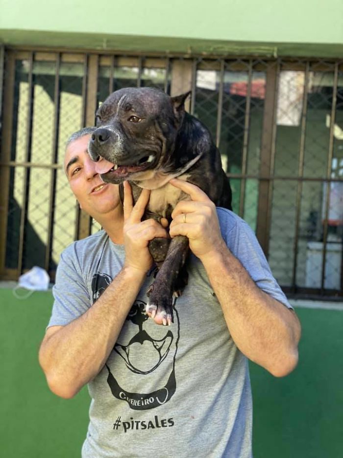 This Abandoned Pit Bull Was Certain To Die Alone, But Then This Good-Willed Man Found Her (20 Pics)