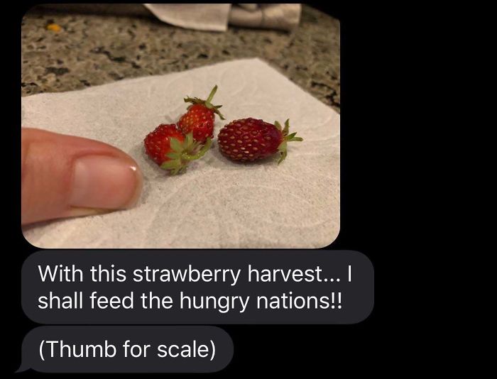 Funny-Failed-Harvest