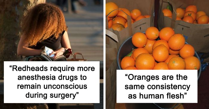 18 Suspiciously Specific Facts People Just Happen To Know