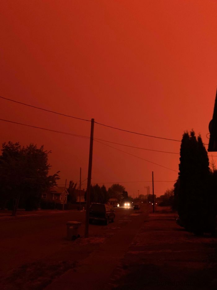 People Are Sharing Pics From The Hell On Earth That Is Happening In The West Coast Right Now (40 Pics)
