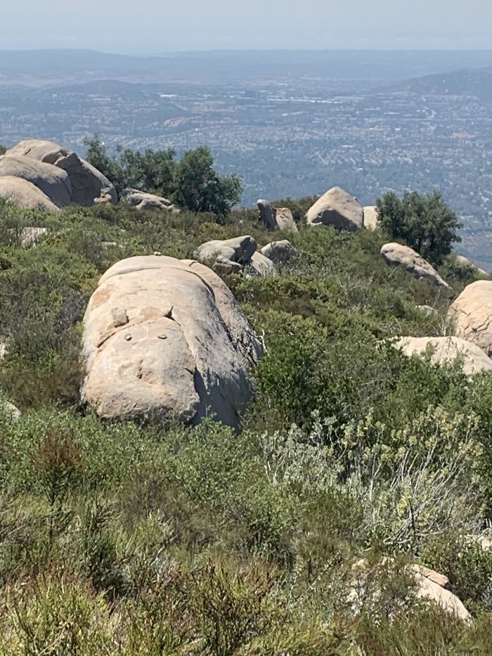 This Rock That Looks Like A Hippopotamus